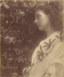 Maud, une larme splendide est tombée de la fleur de la passion à la porte